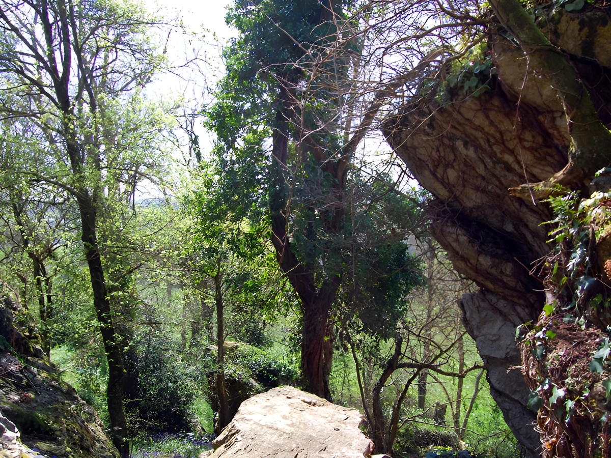 © Calvados Tourismeescalade_mont_myrrha_falaise_suisse_normande_normandie