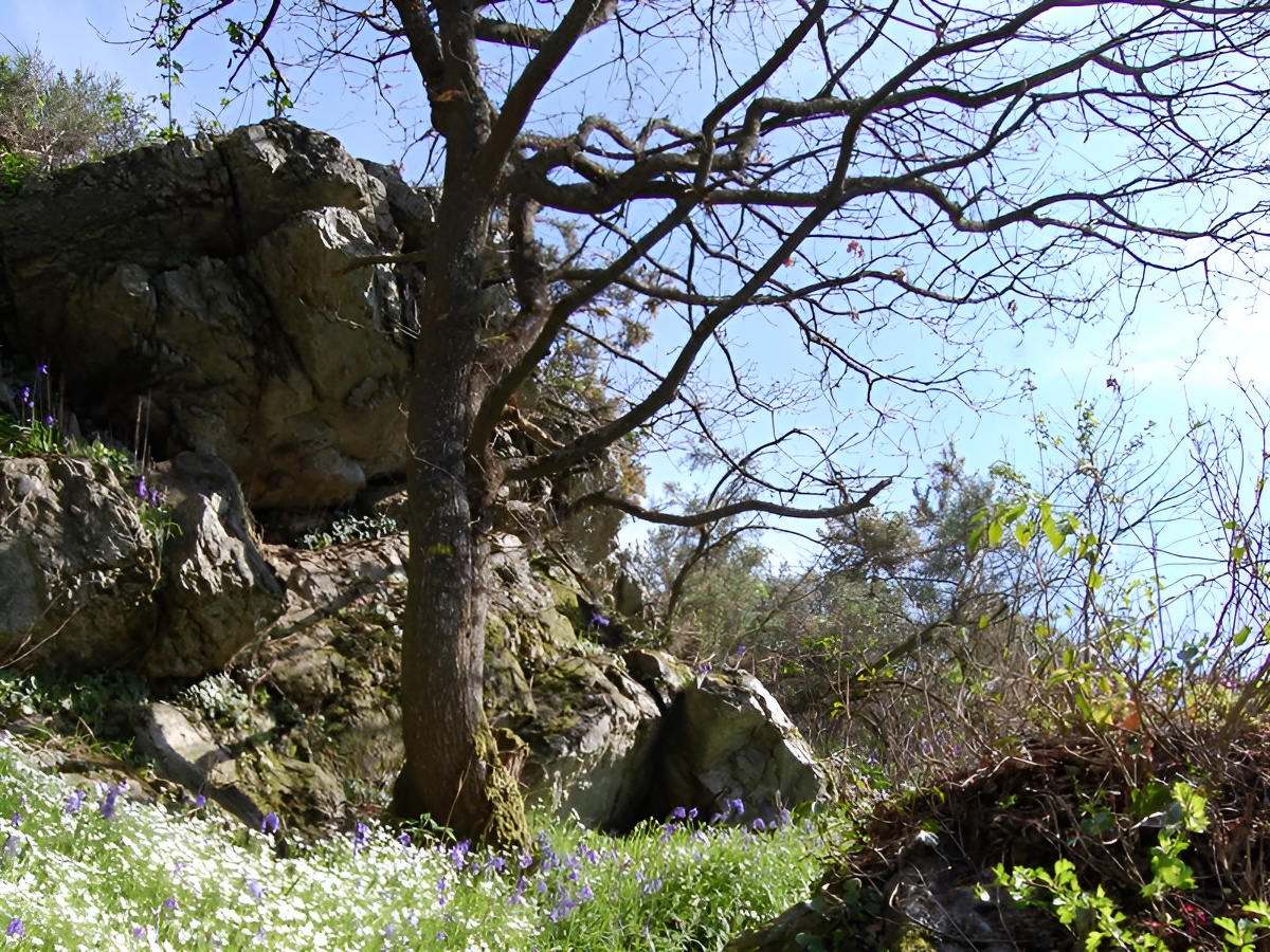 © Calvados Tourismeescalade_mont_myrrha_falaise_suisse_normande_normandie(3)