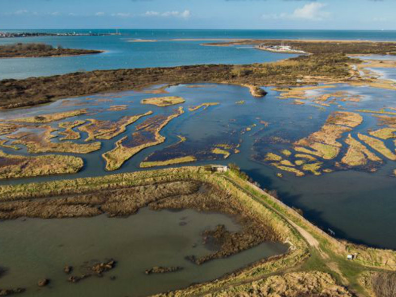 M Dehayeestuaire-baie-orne-merville-franceville-plage-dehaye
