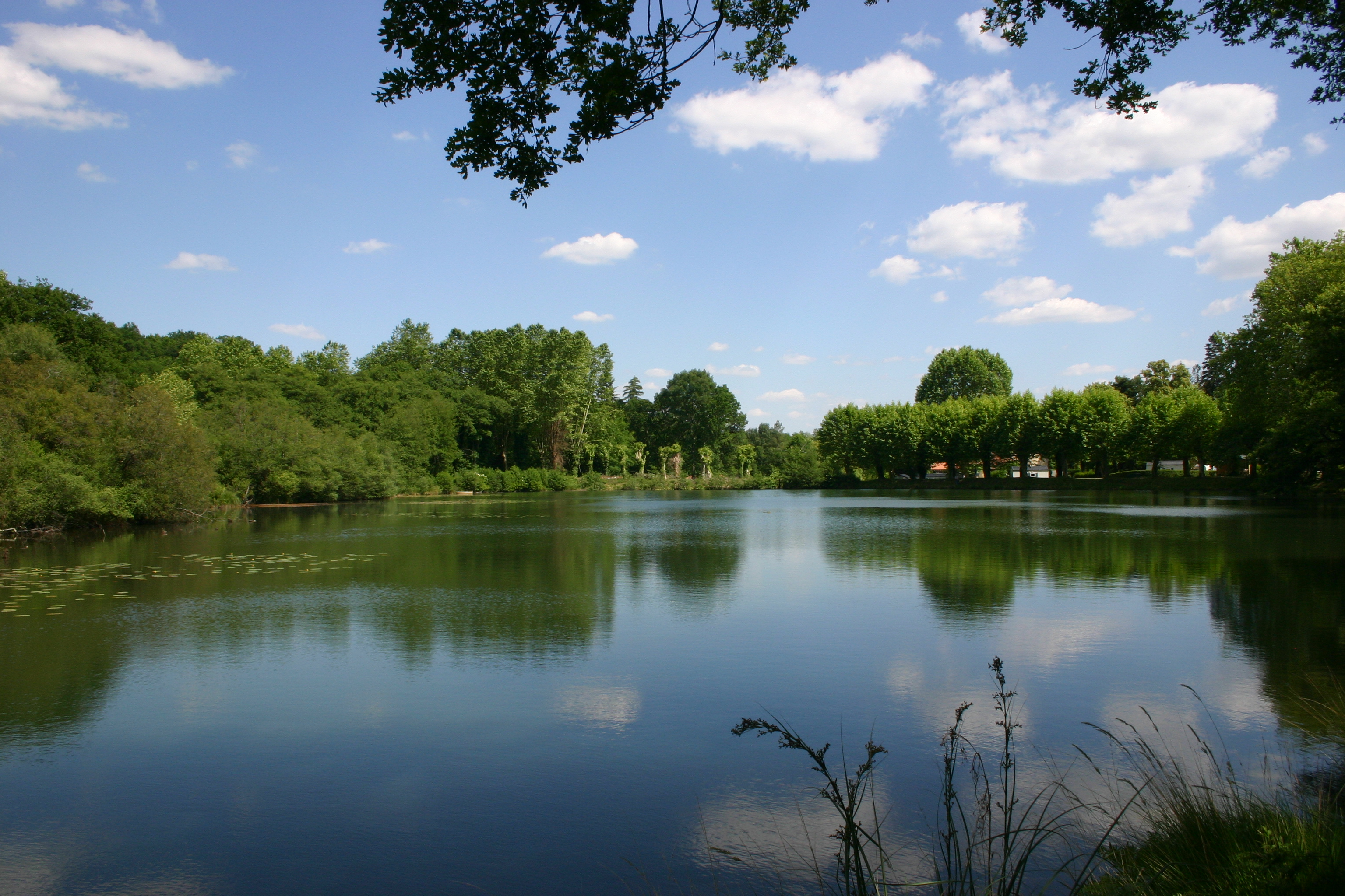 ©Etang privé de pêche du camping l'étang d'Ardy - Landes