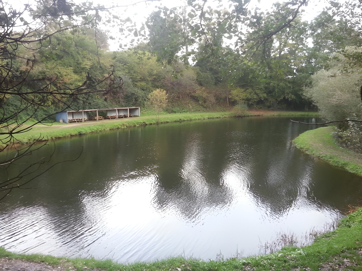 A. LepeigneEtang dans le Bocage Normand
