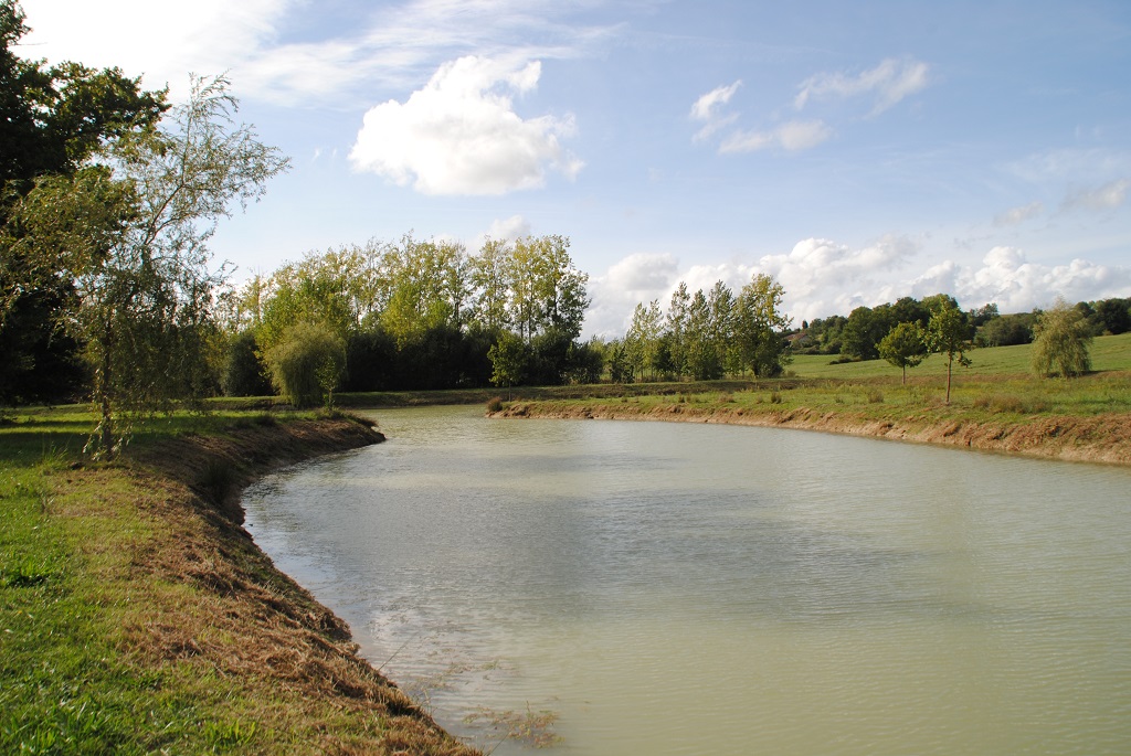 Office de tourisme Terres de ChalosseEtang de Lourquen - Pêche (5)