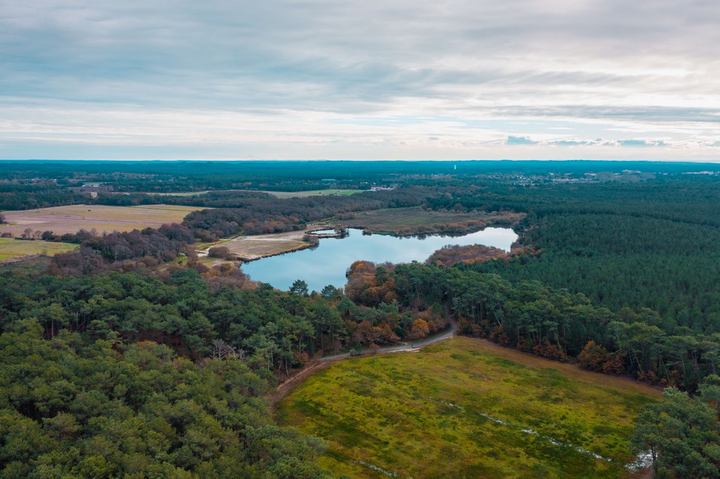 Landes Atlantique SudEtang de Moisan Messanges Landes Atlantique Sud