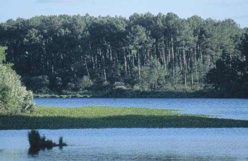 © Office de TourismePêche en étangs et rivières Moliets