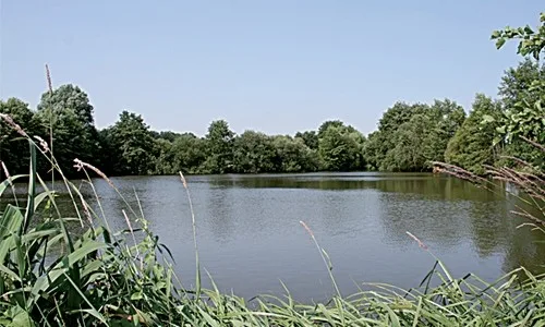 Les Étangs du Moulin de Bâlines