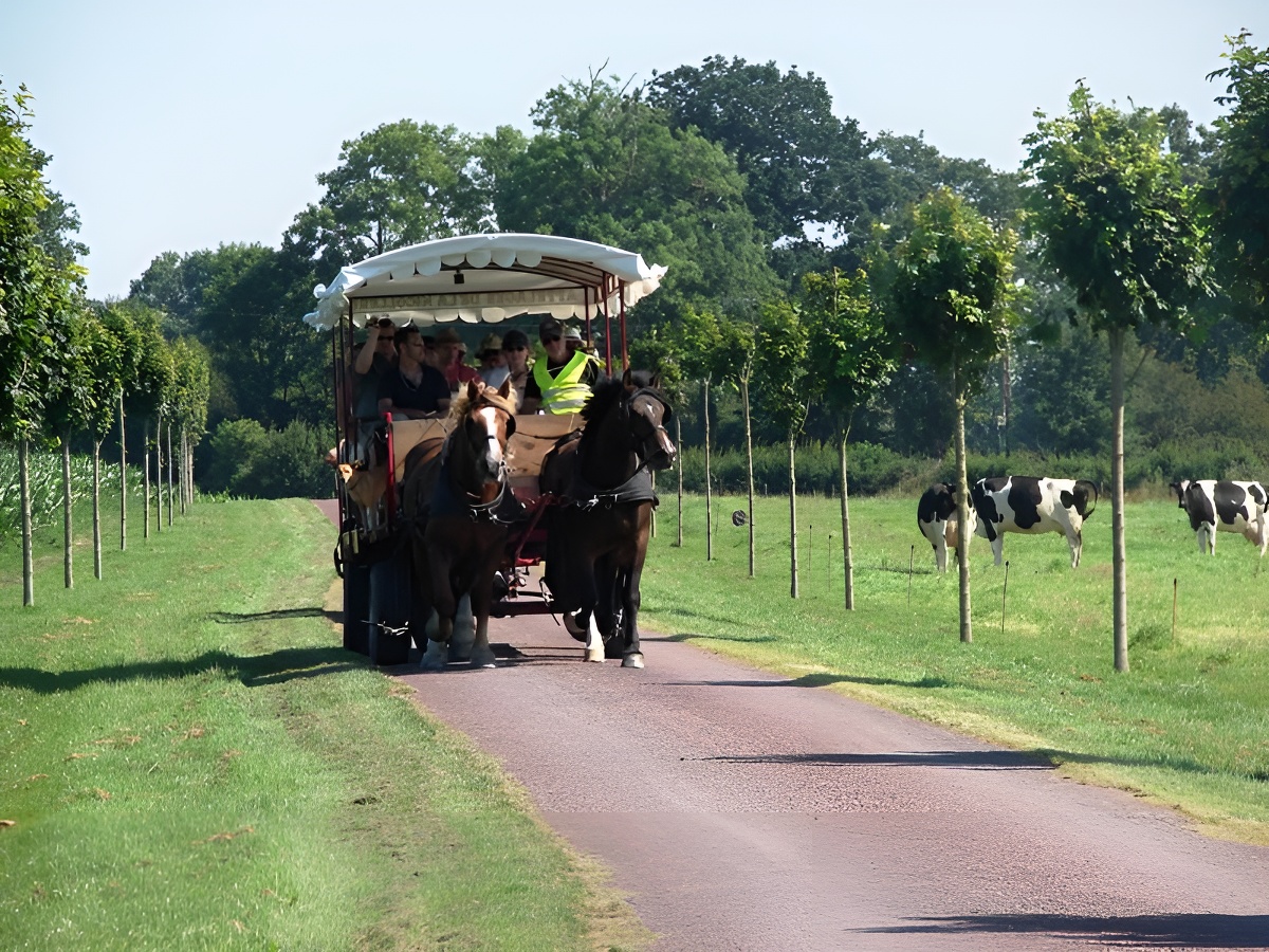 Office de Tourisme d'Isigny-OmahaAu rythme des chevaux