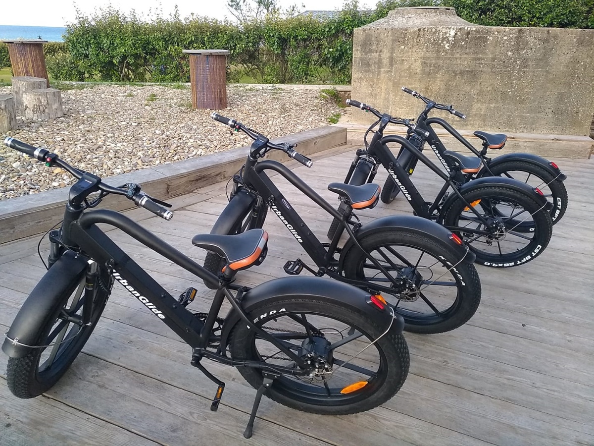 Eolia Normandiefat bike à Omaha