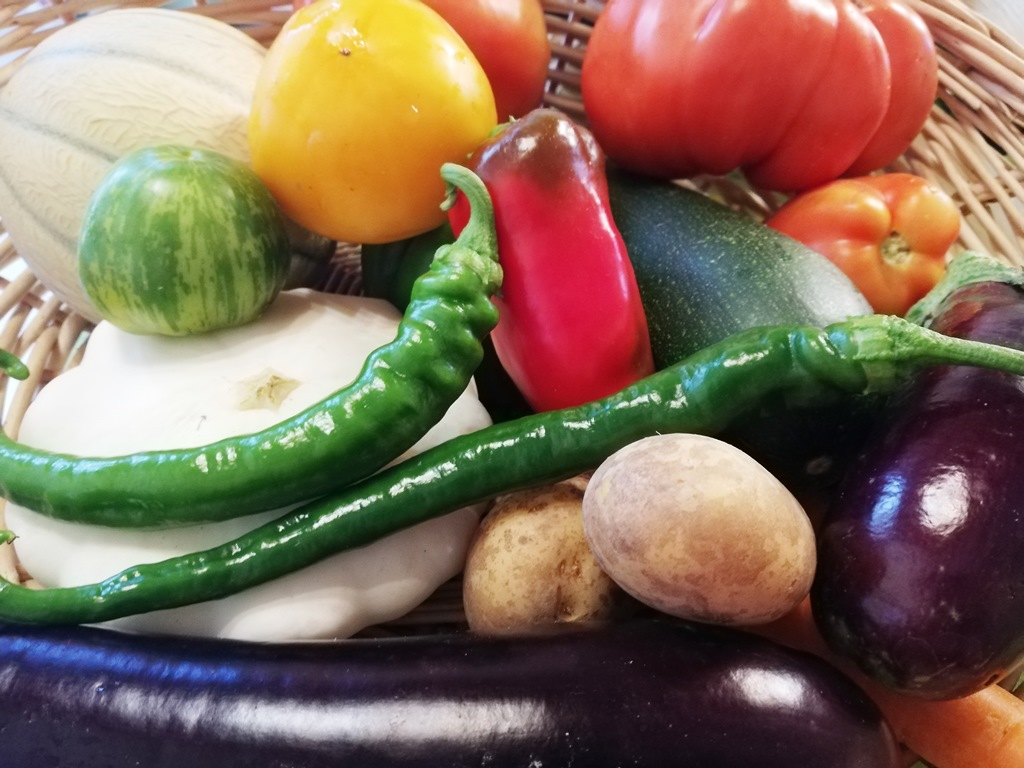 ©LalanneFerme Coumet - Légumes Bio