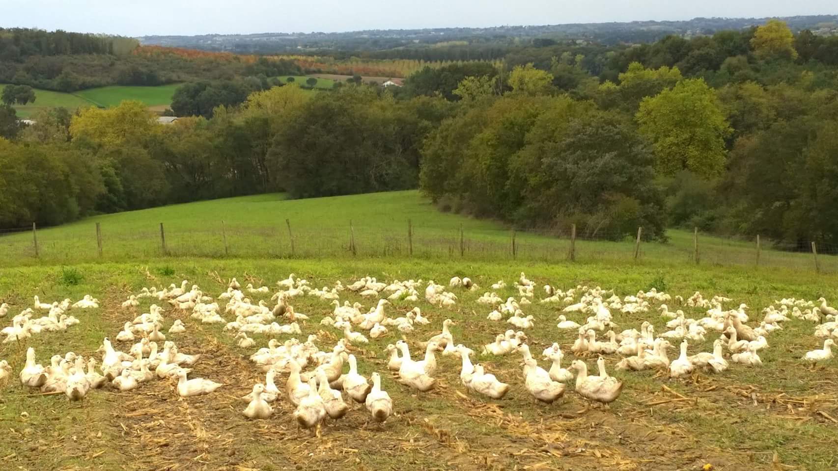 Ferme des EschourdesFerme-des-eschourdes