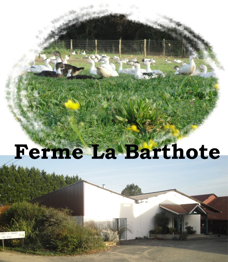 Francis BetbederFerme La Barthote_Sainte Marie de Gosse_Landes Atlantique Sud