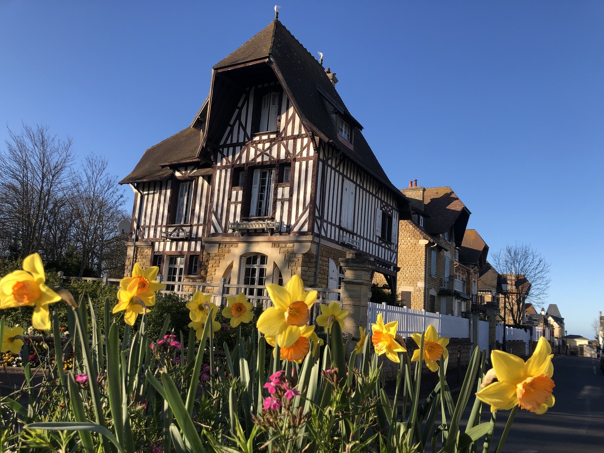 Mathilde Lelandaisfleurs-de-printemps-ville-belle-epoque-saint-aubin-sur-mer-credit-mathilde-lelandais (3)