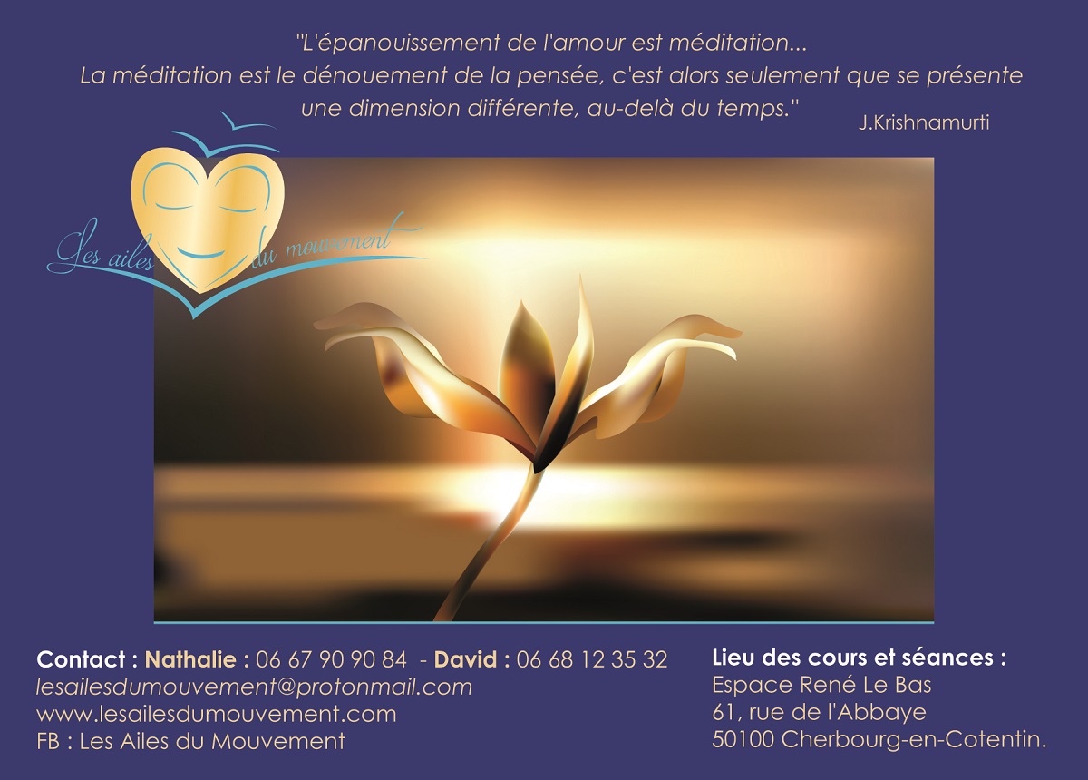 PropriétaireCherbourg-en-Cotentin - Les Ailes du Mouvement - 2