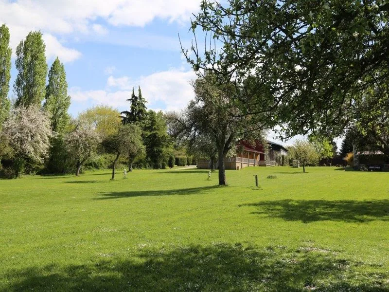 Camping Forest View