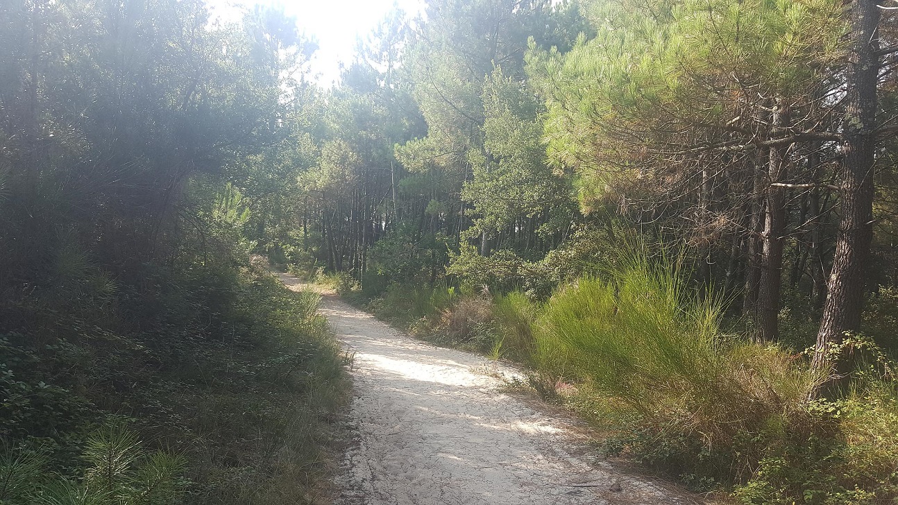 MiclotAppartement Miclot_Vieux Boucau_Landes Atlantique Sud