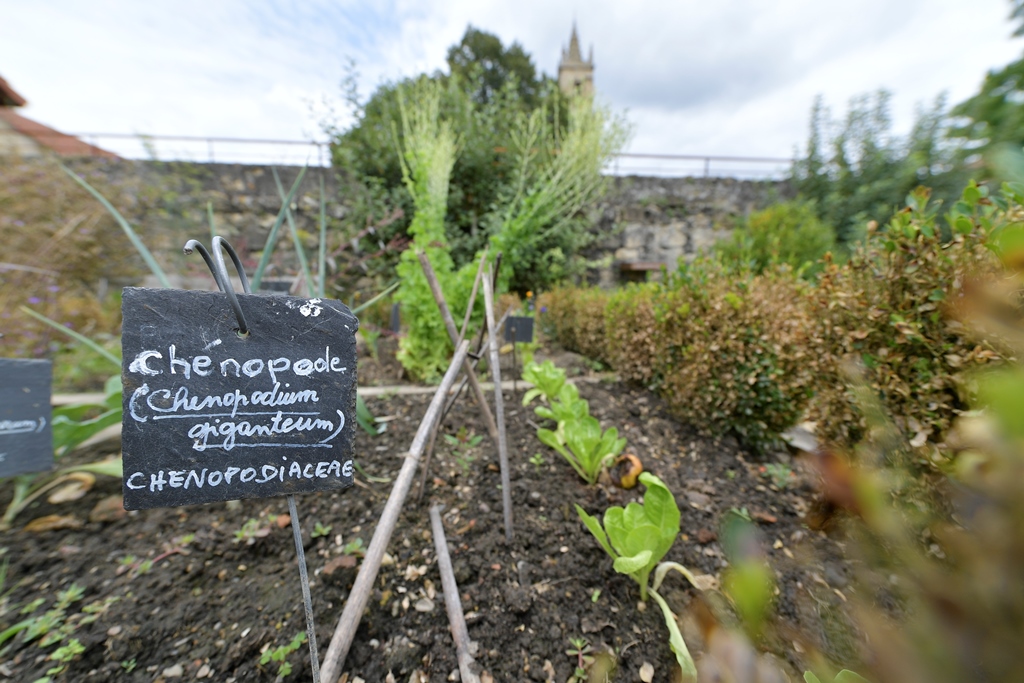 Gilles ARROYOGeaune jardin médiéval