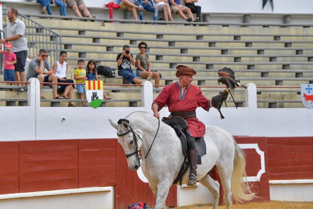 Gilles ARROYOArènes St Sever Vasconiales