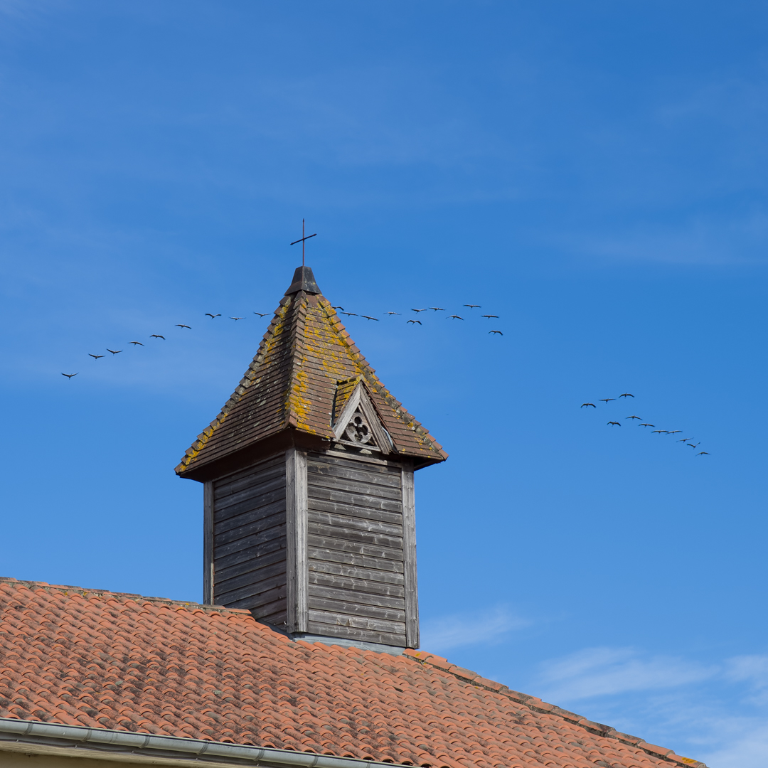OT Sud Landes ArrigansGaas Eglise-GC (3)