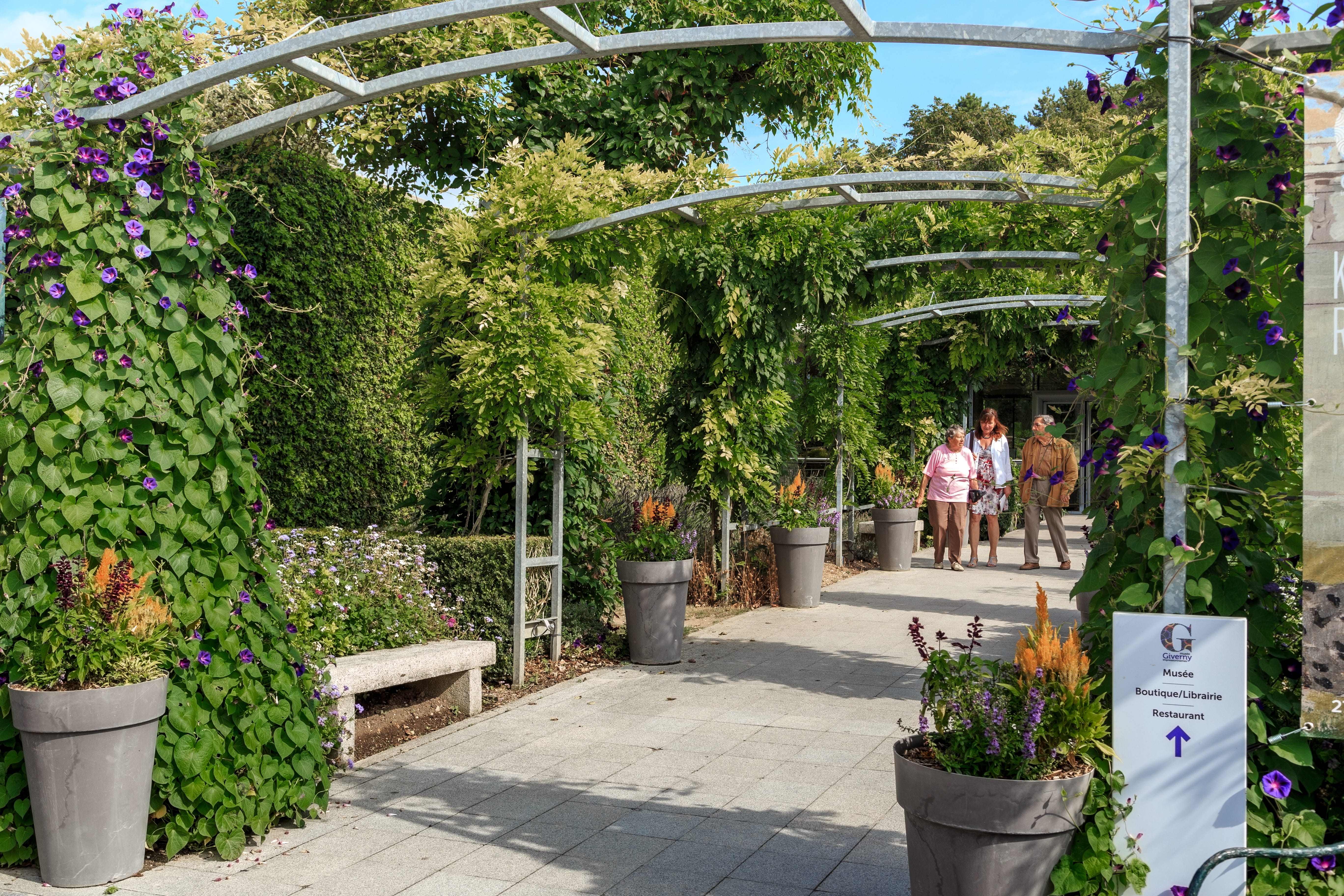 galerie verte du jardin coloré