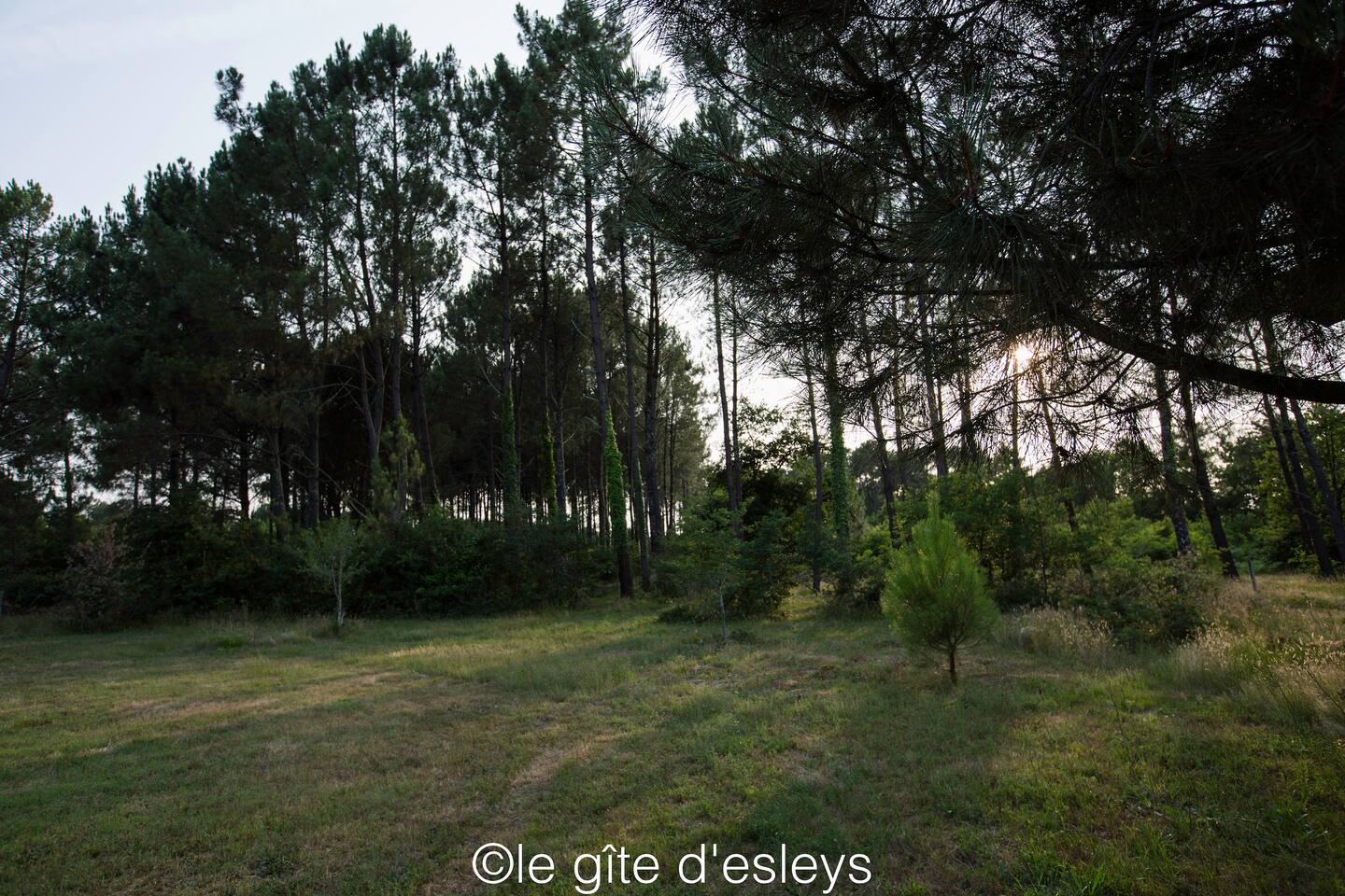 Giraud HardyGiraud Hardy terrain ter
