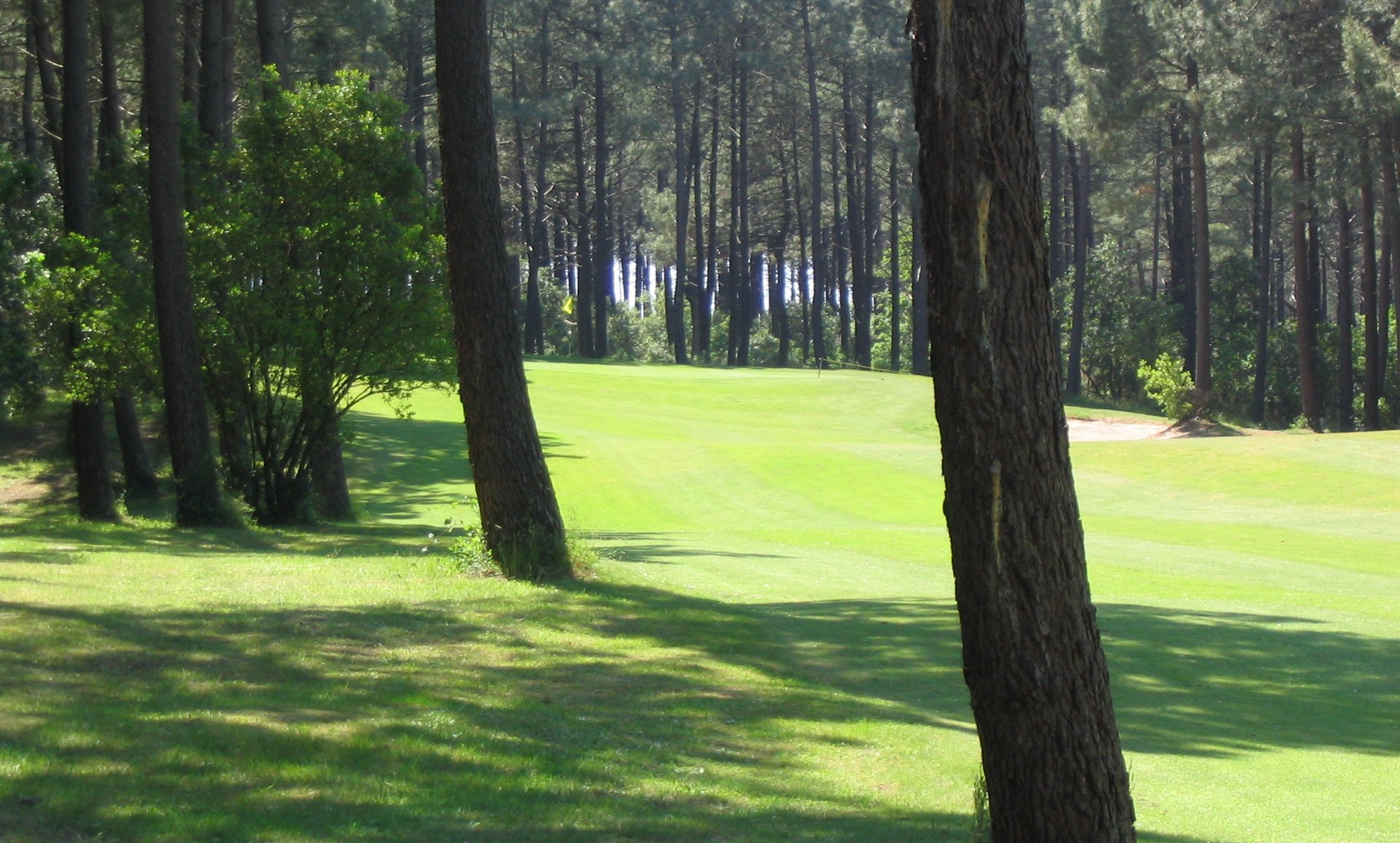 golf-de-biscarrossegolf-de-biscarrosse-2