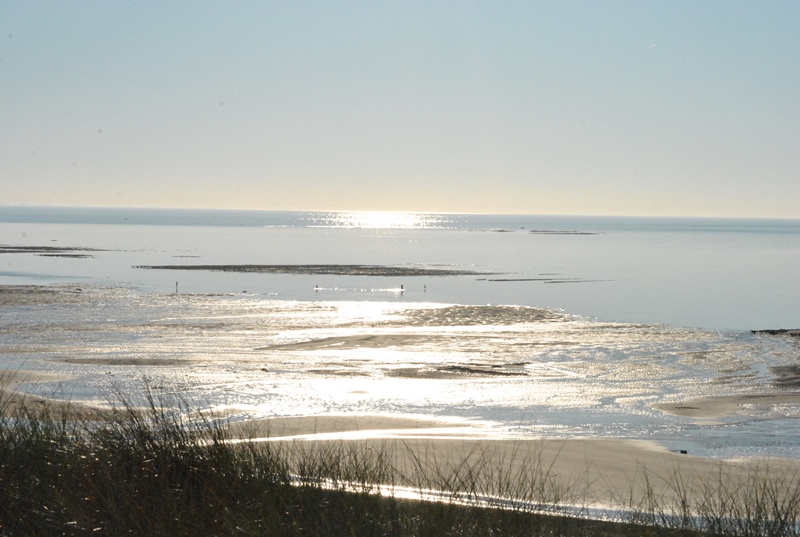 PROPRIETAIREgouville-sur-mer-pole-kite-surf-normandie (8)