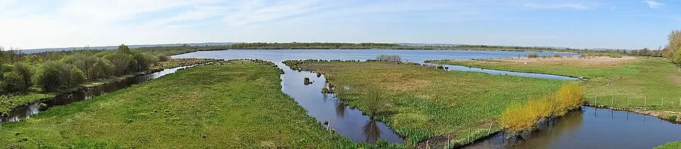 Marais Vernier Grande Mare