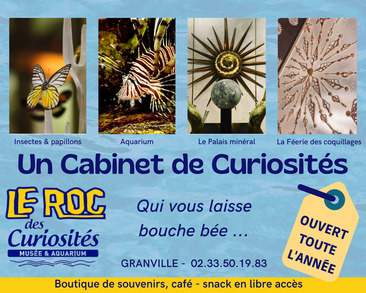 LE ROC DES CURIOSITESUn Cabinet de Curiosités - 1