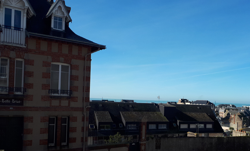 Emilie LEMONNIERgranville-meuble-les-palmiers-5