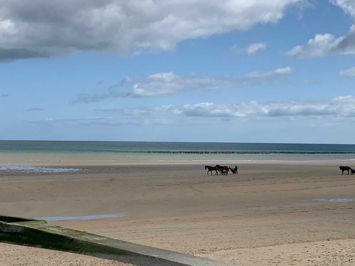 proprietairequineville-meublé-havre des isles-lesage-6