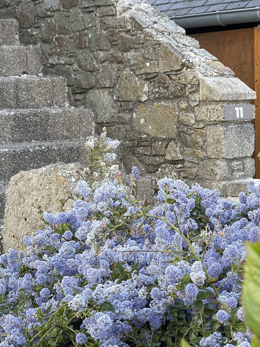 propriétaireHotel du Cap-loubere-5
