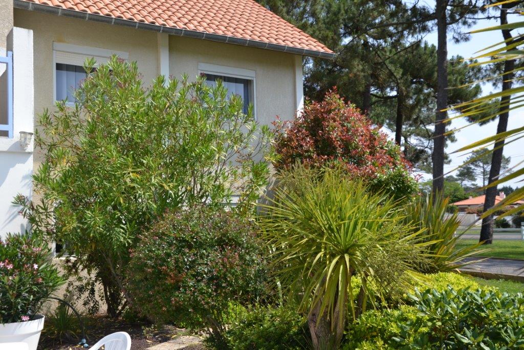 les vagueshotel-les-vagues-jardin-ch-204