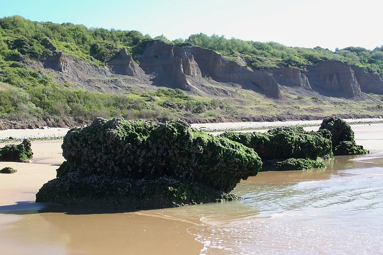 Falaises Vaches noires