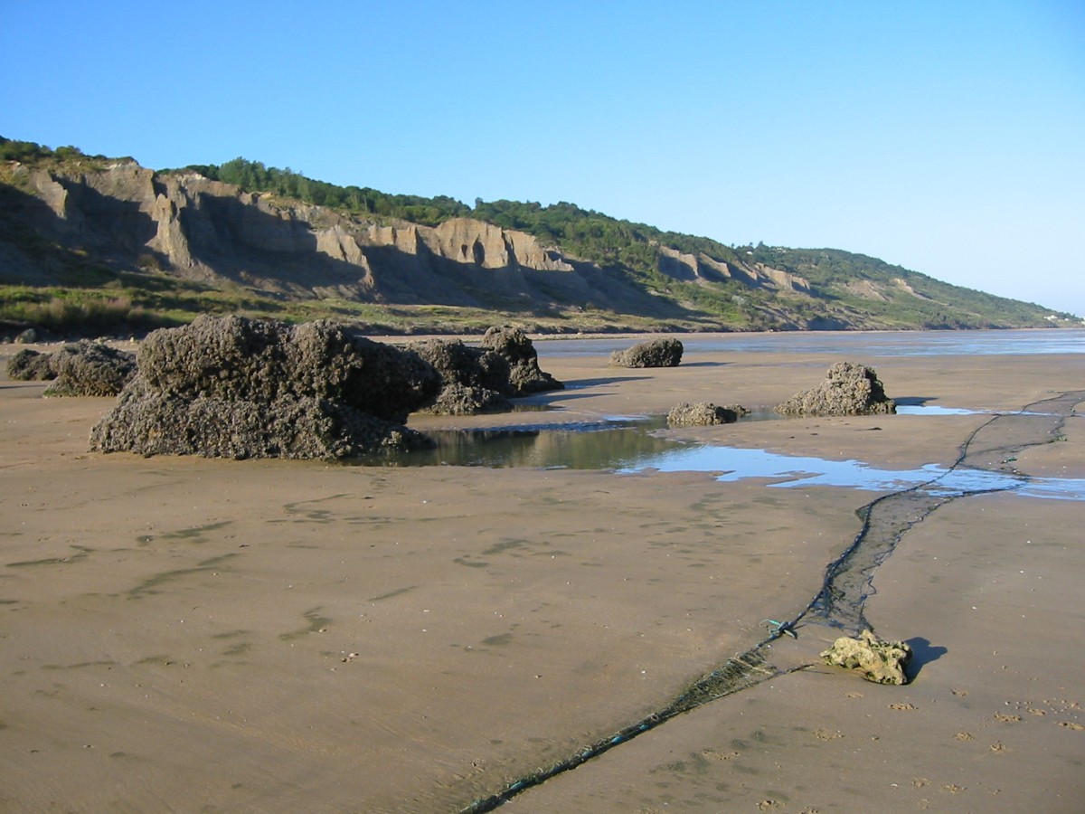 OTI NCPAHoulgate_falaises_des_vaches_noires__©office de tourisme de Houlgate