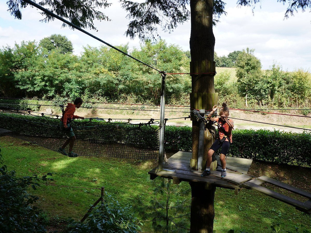 PROPRIETAIREsaint-sauveur-le-vicomte-forest-adventure-0