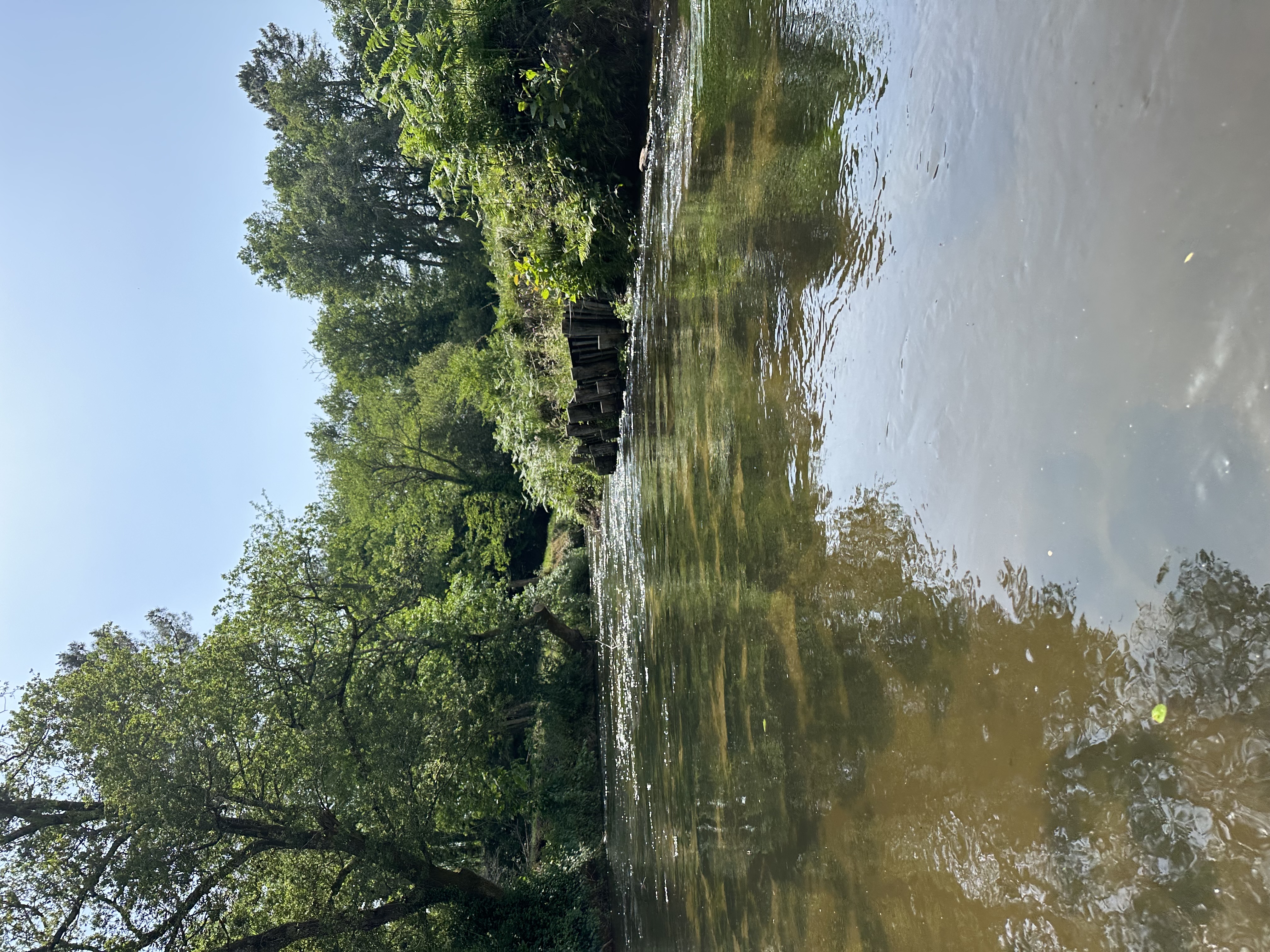 PalomaIMG_0702