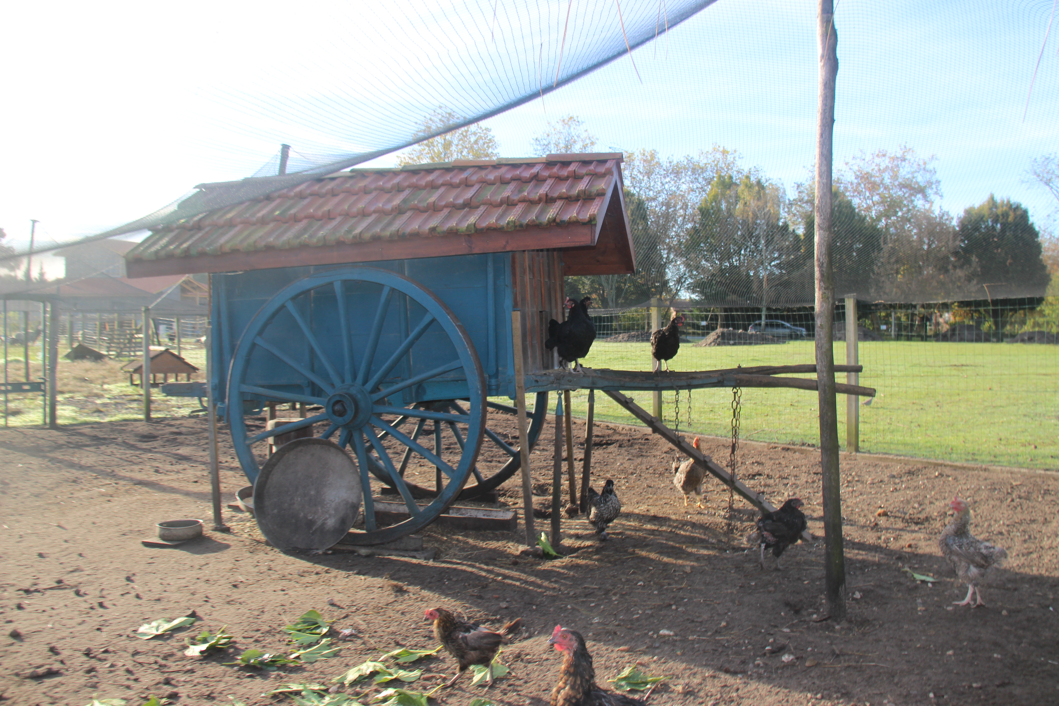 FERME PÉDAGOGIQUEIMG_1637