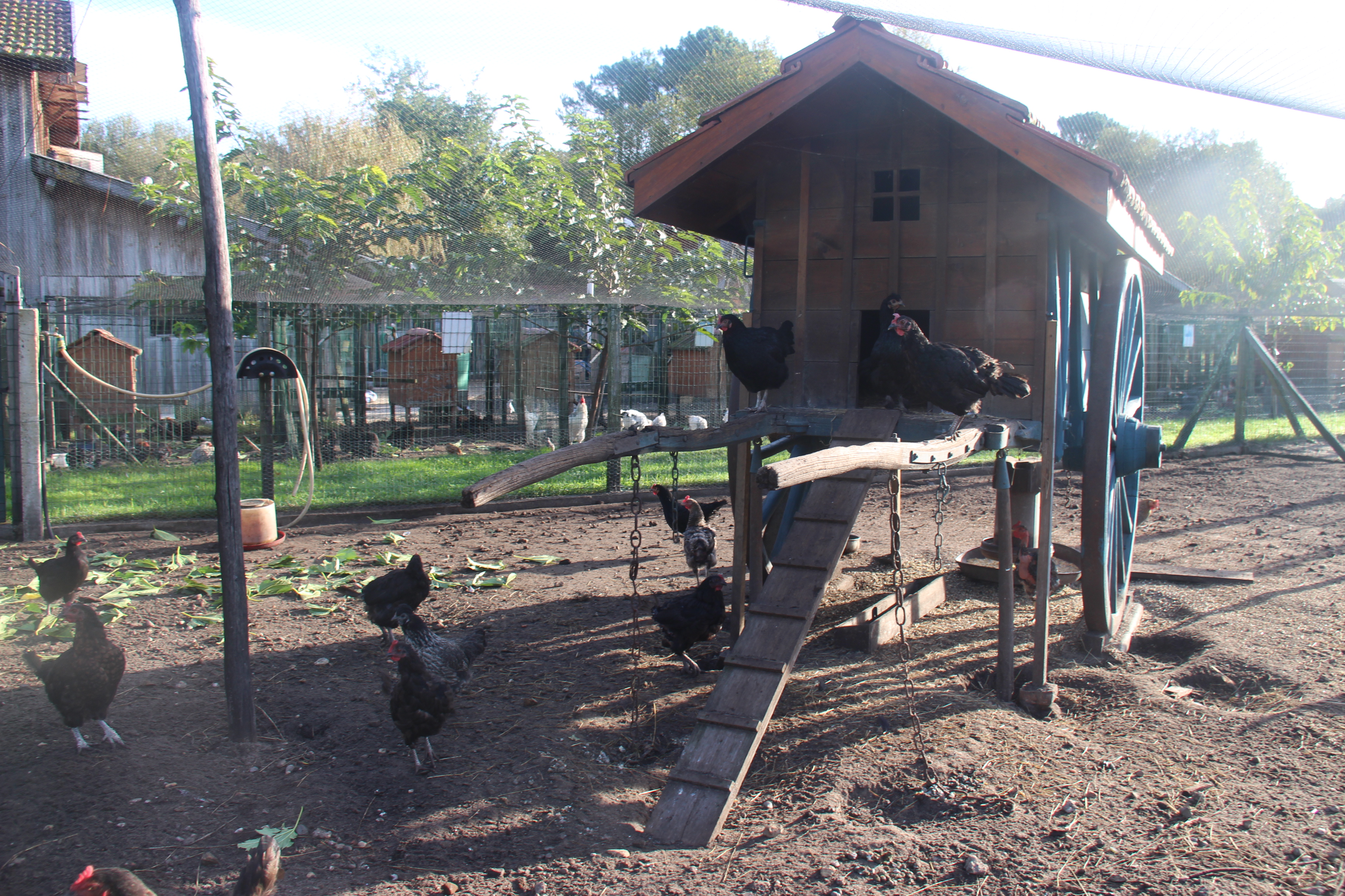 FERME PÉDAGOGIQUEferme-pédagogique-association-culturelle-biscarrossaise