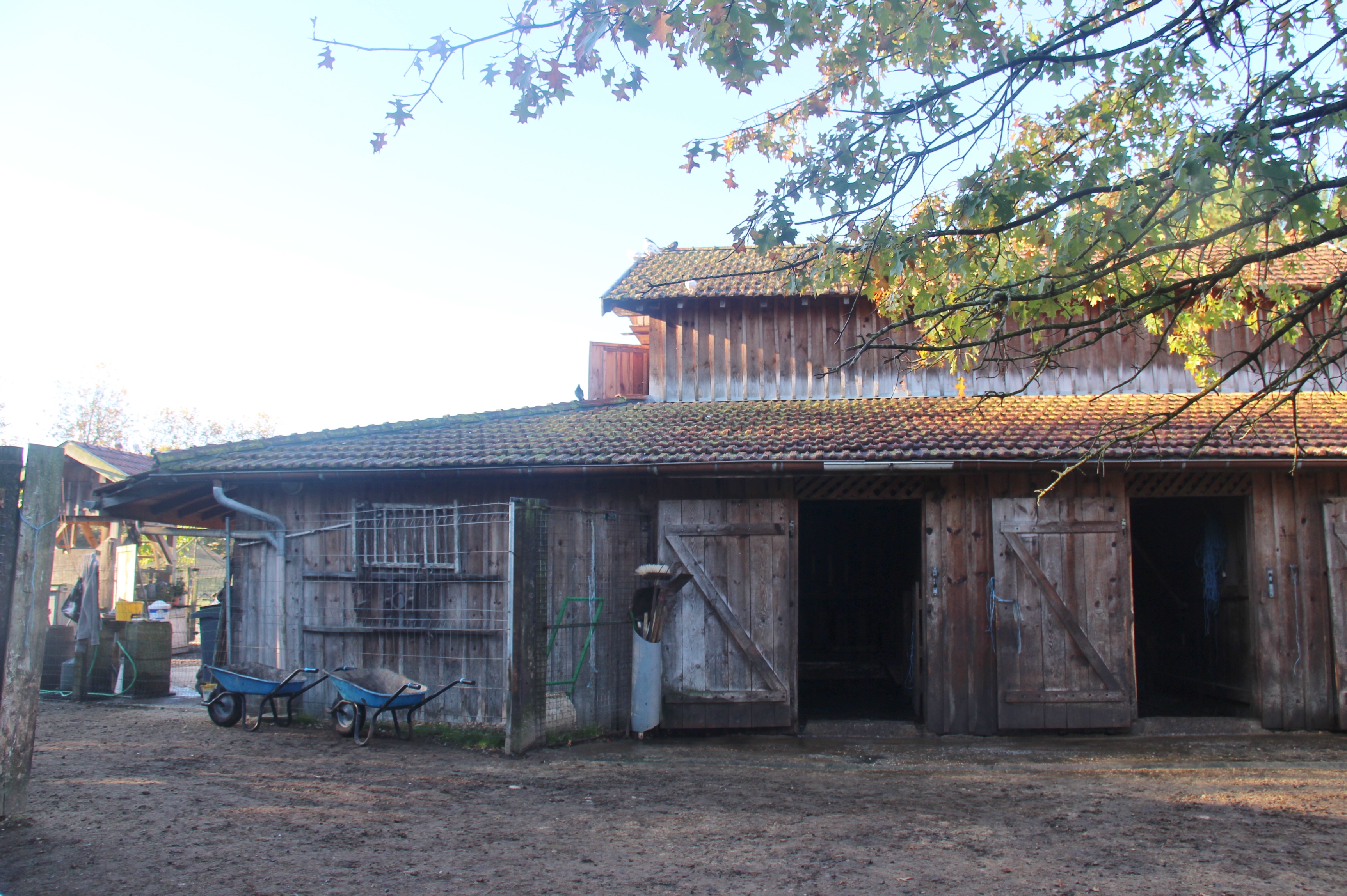 FERME PÉDAGOGIQUEIMG_1710