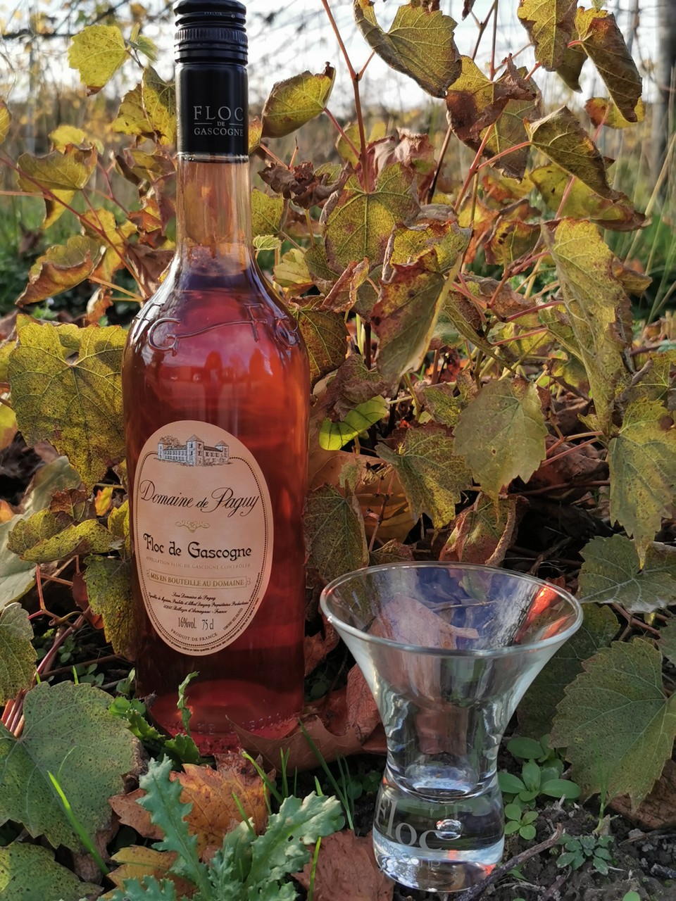 ©Domaine de PaguyFloc_6