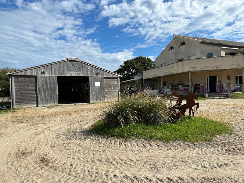 Patrice CottinCENTRE EQUESTRE DE KAIRON-PLAGE