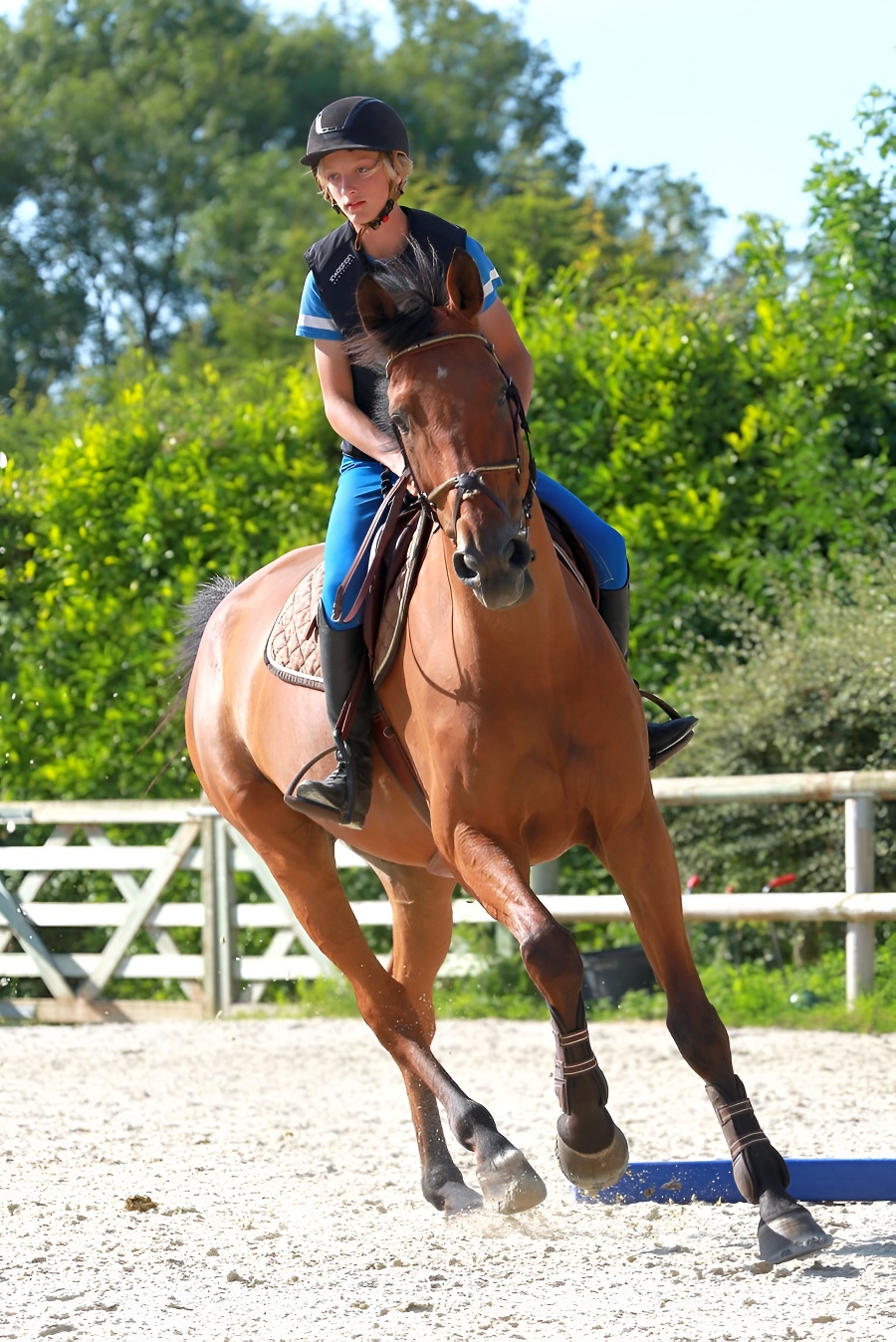 D. de Polignaccours d'equitation cheval