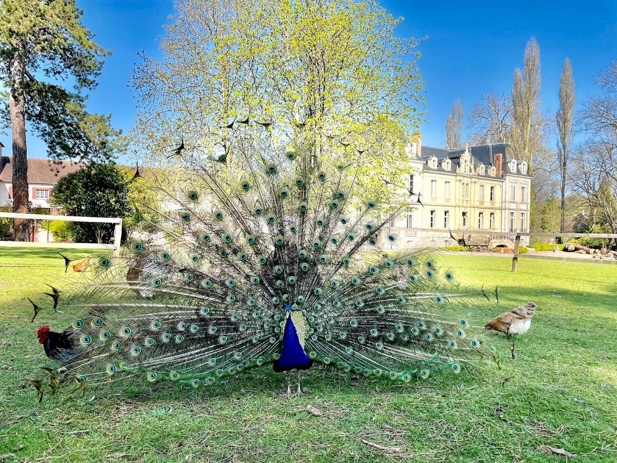 Domaine de OuezyIMG_9795