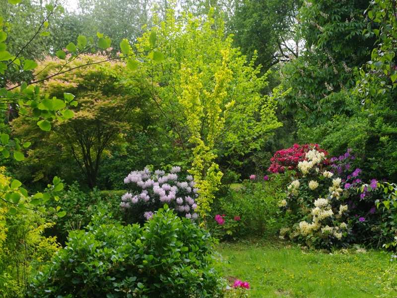 PROPRIETAIRErampan-jardin-le-pre-du-moulin-7