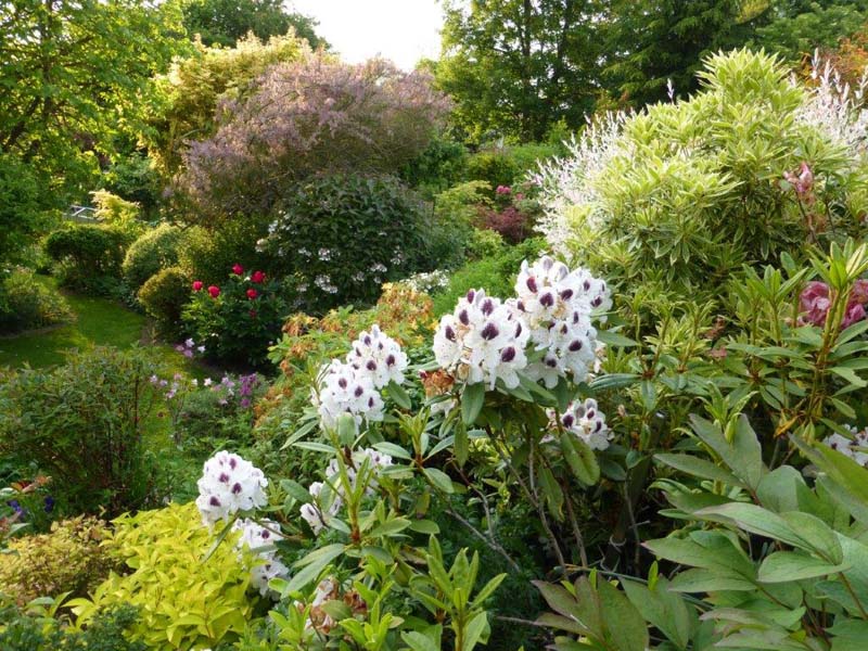 ©Jardin BleuennJardin Bleuenn - La Ferté Macé