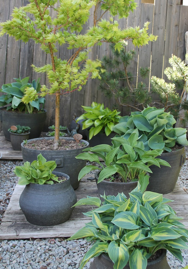 PROPRIETAIREJARDIN DE LA POTERIE (2)(1)