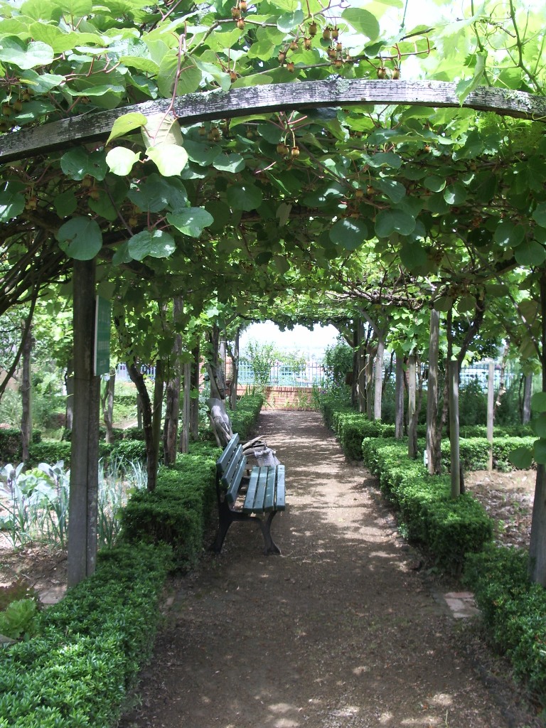 Jean LuxceyJardin de Payot - allée JL