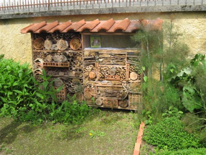 ACMJardin de Payot - Hôtel à insectes ACM