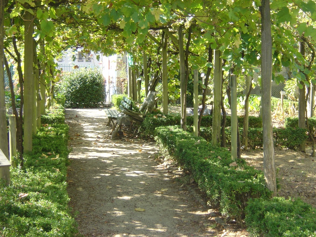 ACMJardin de Payot - vignes ACM