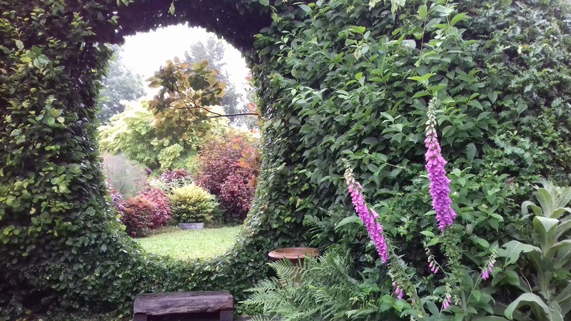Jardin du reversjardin du revers notre dame de cenilly (5)
