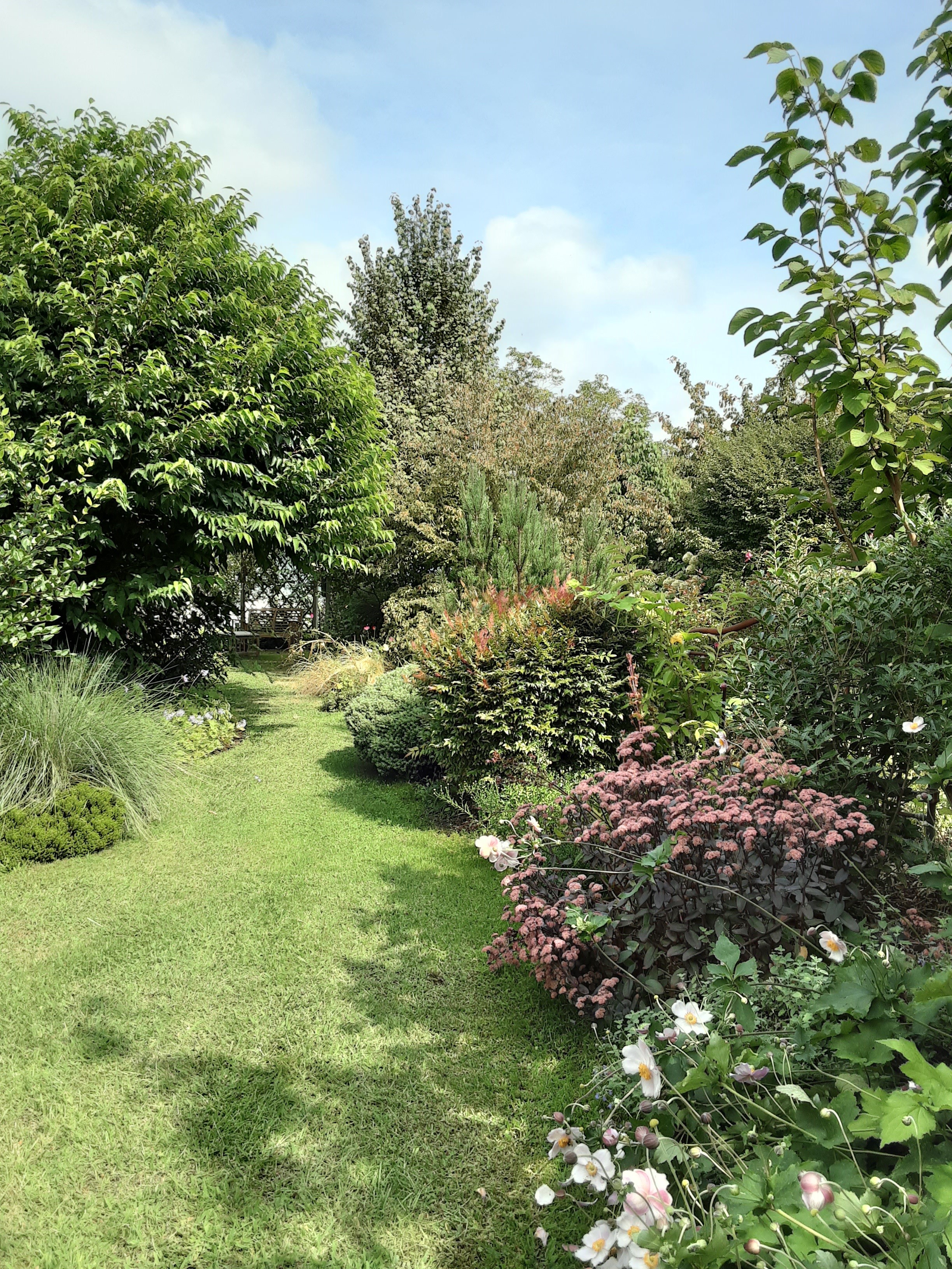 SOURBE Mari-HélèneLINXE_Jardin  Marguerite (6)